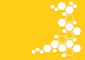 Bee honeycomb vector pattern. Honey background with hexagons. Yellow and white geometric texture Royalty Free Stock Photo