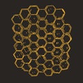 Bee honeycombs isolated on a dark background