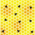 Bee honeycombs seamless texture, pattern, background, banner, backdrop, wallpaper in trendy flat style. Bee honeycombs icon.