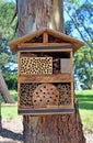 Bee hotel for solitary native bees Royalty Free Stock Photo