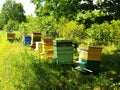 Bee houses in green field Royalty Free Stock Photo