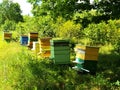 Bee houses in green field Royalty Free Stock Photo