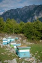 Bee houses in the high mountain