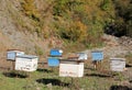 Bee houses Royalty Free Stock Photo