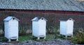 Bee houses Royalty Free Stock Photo