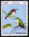 Bee hummingbird, zunzuncito or Helena hummingbird Mellisuga helenae, stamp is from the series, circa 1977