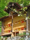 Bee hut