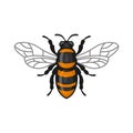 Bee Icon. Bug Flat Style Logo on White Background. Vector Royalty Free Stock Photo