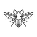 Bee Icon. Bug Logo on White Background. Vector Royalty Free Stock Photo