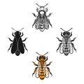 Bee icon in cartoon,black style isolated on white background. Apairy symbol stock vector illustration