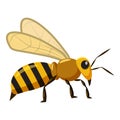 Bee icon, cartoon style Royalty Free Stock Photo