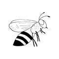 bee icon. hand drawn doodle style. , minimalism, monochrome, sketch. insect, flies, honey, sting.