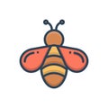 Color illustration icon for Bee, honey and fly