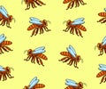 Bee, insect, animal, apiary and beekeeping, seamless vector background and pattern