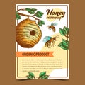 Bee Insect And Wild Beehive House Poster Vector
