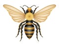 bee insects wildlife animals vector illustration