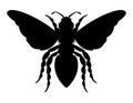 bee insects wildlife animals vector illustration