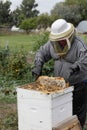 A bee keeper harvesting honey from a hive.