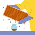 Bee-keeper holding honey cells, caring bees. Apiary concept, honey making process