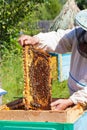 Bee-keeper holds in hand a frame with honey