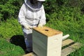 Bee Keeper Removing Inner Cover on a Beehive Royalty Free Stock Photo