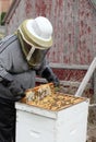 A bee keeper harvesting honey from a hive.