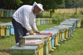 Bee keeper working