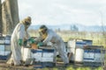 Bee Keepers tending to their bees in rural Oregon