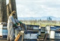 Bee Keepers tending to their bees in rural Oregon