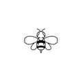 Bee line icon illustration. Graphic logo of insect, simple doodle emblem Royalty Free Stock Photo