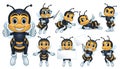 Bee Mascot Character