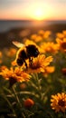 Bee in Morning Sunshine: Nature\'s Bounty Captured