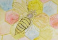 Bee with open wings on hexagon construction.