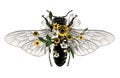 Bee with open wings top view decorated with flowers and leaves symmetrically Royalty Free Stock Photo