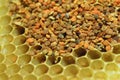 Bee pollen Royalty Free Stock Photo