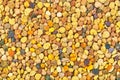 Bee pollen close-up