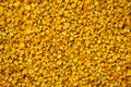 Bee pollen grain background