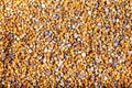 Bee pollen grains Royalty Free Stock Photo