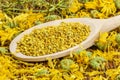 Bee pollen grains with dry calendula around