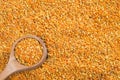 Bee pollen grains - Top view Royalty Free Stock Photo