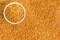 Honey bee pollen - Top view Royalty Free Stock Photo