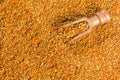 Honey bee pollen - Top view Royalty Free Stock Photo