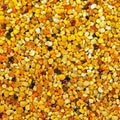 Bee pollen granules