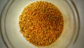 Bee pollen in a jar - Healthy remedies - Natural - Organic