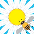 Flat Vector Bee Pollinating Royalty Free Stock Photo