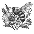 Bee Pollinating Flower sketch raster