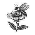 Bee Pollinating Flower sketch raster