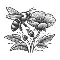 Bee Pollinating Flower sketch raster