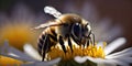 bee pollinating illustration design art Royalty Free Stock Photo