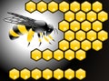 Bee poster vector